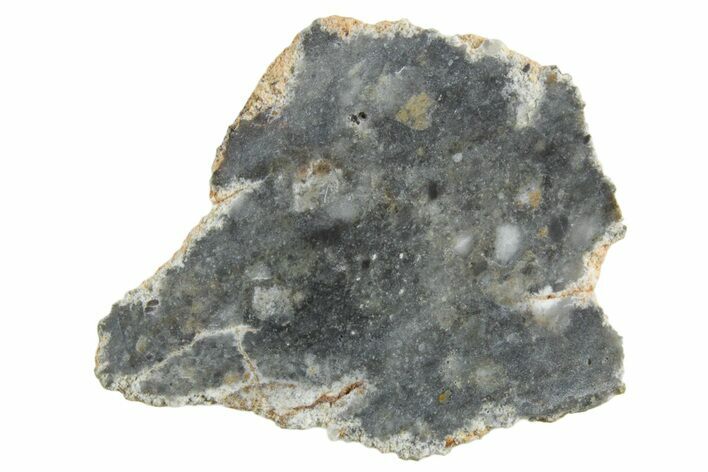 Lunar Meteorite ( g) Slice - Bechar #348178